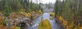 27YellowstonePan01