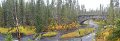 27YellowstonePan02