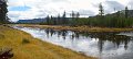 27YellowstonePan27