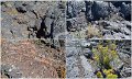 29Craters16
