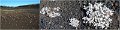 29Craters18