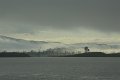 DSC_1180