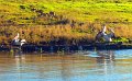 DSC_1117