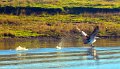 DSC_1121