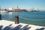 006 Tas 034_31