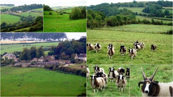 014Wales