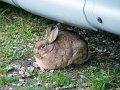 DSC05161