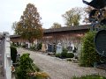 DSC05338
