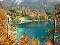DSC05484
