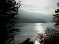 DSC05485