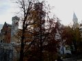 DSC05501