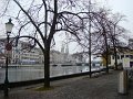 DSC05782