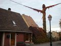 DSC05898