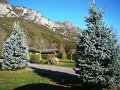DSC07291