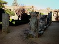 DSC08353
