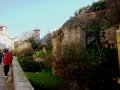 DSC09143