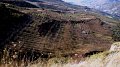 DSC09201