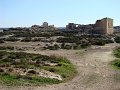 DSC09295