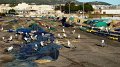 DSC09567