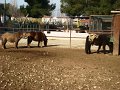 DSC00033