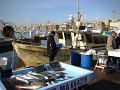DSC00045