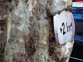 DSC00104
