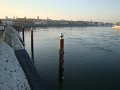 DSC09956
