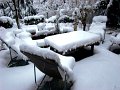 DSC00445
