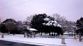 DSC00711