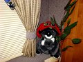 DSC00724