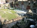 DSC00910