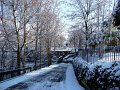 DSC01005