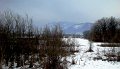 DSC01050