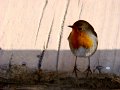 DSC01496