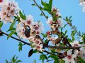 DSC02507