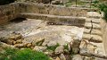 DSC02516