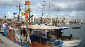 DSC02650
