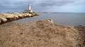 DSC02653