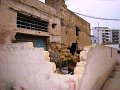 DSC02661