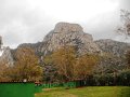 DSCN3853