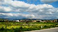 DSC02872