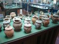 DSC02954