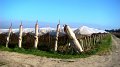 DSC02969