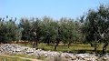 DSC02978