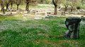 DSC03286