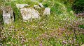 DSC03290