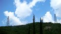 DSC03391