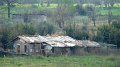 DSC03398