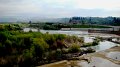DSC03401