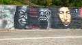 DSC03447